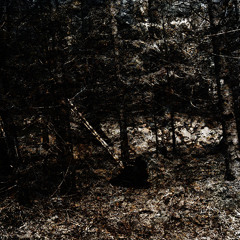 Beatslaughter - Contaminated