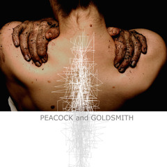 Peacock and Goldsmith (Short Mix)