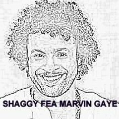 Boombastic old skool fea MarvinGaye mashup