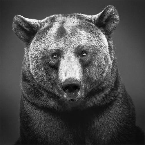 Techno Live Sets and Mixes