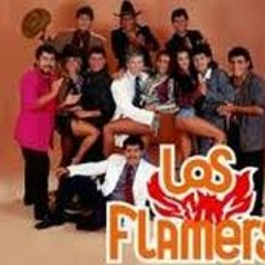 Los Flamers - La Guera Salome - DJ Daniel(102)