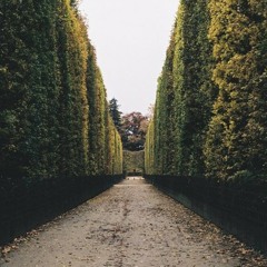 Biologik - Breaking Through (Weepee Remix)