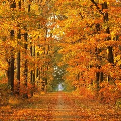 Cafe Bar Bergsinn - Autumn Mix 2013 (mixed by D.K.M.)