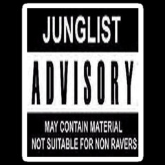 Junglist Soldier - Jungle/Drum And Bass Mini Mix