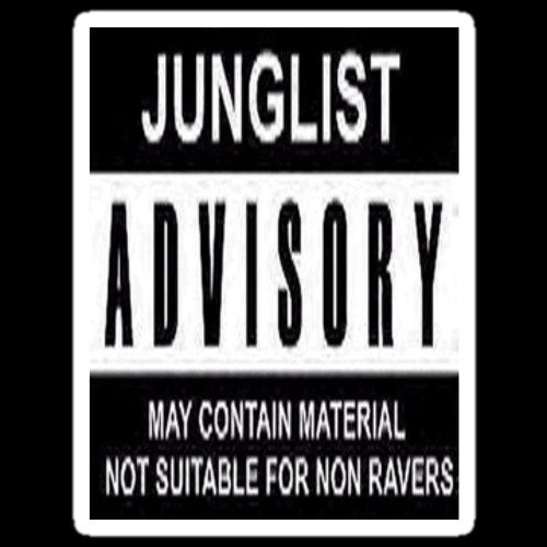 Junglist Soldier - Jungle/Drum And Bass Mini Mix