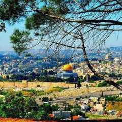 Sawt Palestine 1982 by عائدالى حيفا
