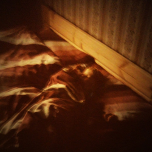 Utter Destruction of a Perfectly Fine Blanket Fort