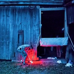 Cherry-Coloured Funk (Cocteau Twins Cover)