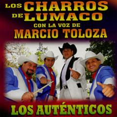 INGRATA MARCIO Y LOS CHARROS DE LUMACO