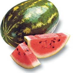 Gogglez - Watermelon (FREE DOWNLOAD)
