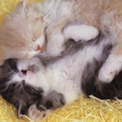 Cada Dia - Jesus Adrian Romero