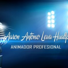 SONAMBULO TITO NIEVES VENDIMIA ICA 2013