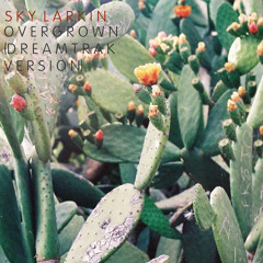 Overgrown (Dreamtrak version)