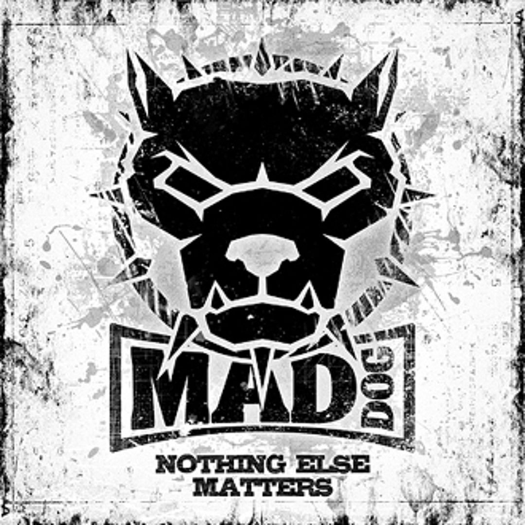 Stream DJ Mad Dog & The Stunned Guys - Nothing else matters by