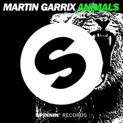 Martin Garrix - Animals (Macknmull, Ron Jolly Remix)