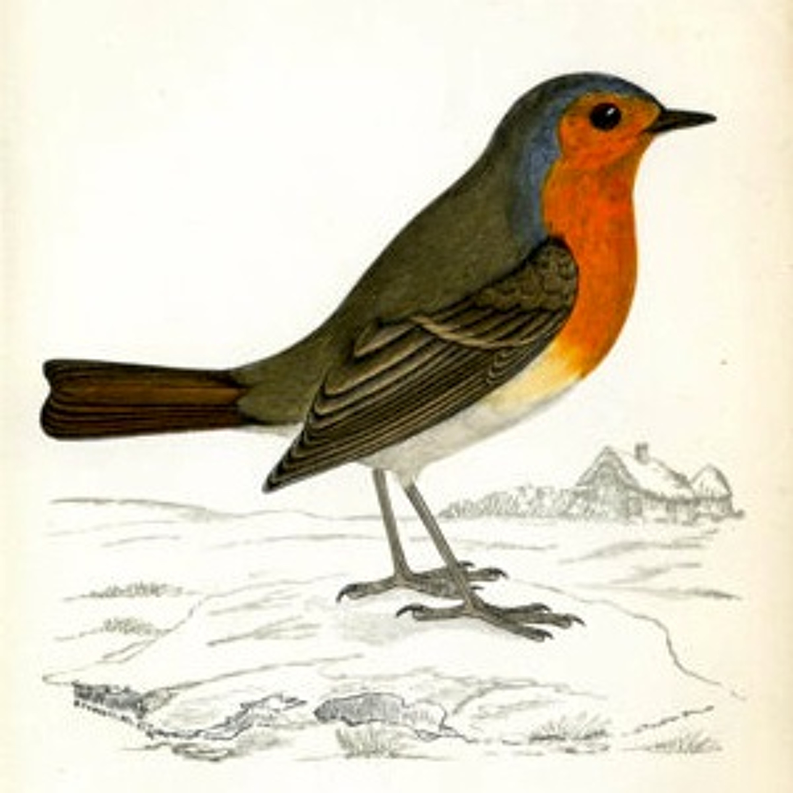 Robert_Peake
