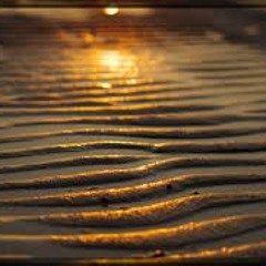 Losttrack One Vao ep