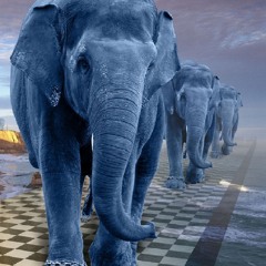 Chusta B - Blue Elephant (Original Mix)