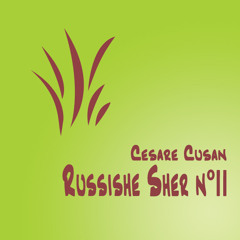 Russishe Sher n°II