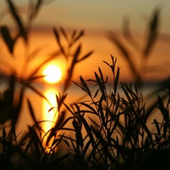 senses. september deep house mix set