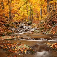 Autumn Welcomes