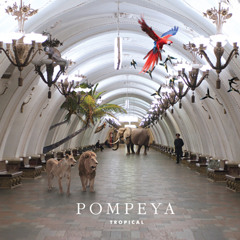 Pompeya - Пицунда