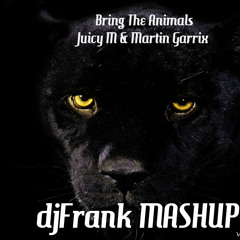 Bring The Animals - Juicy M & Martin Garrix (djFrank Mashup)