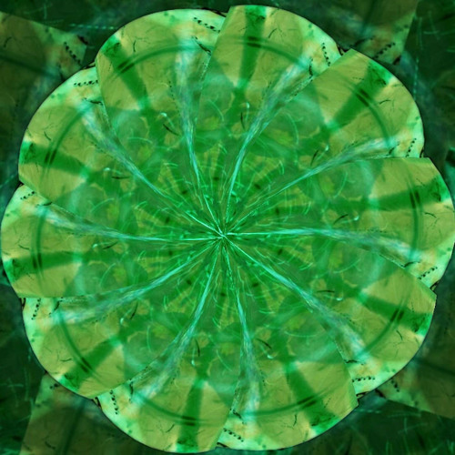 Dream Where You Follow Me