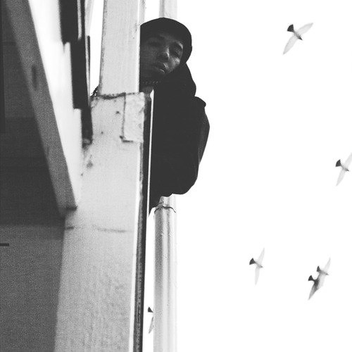 Malev Da Shinobi – Fading Flaws (prod. Planet Ragtime)