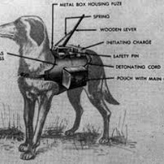 Violence - Soft Powers