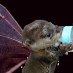 baby dragonotter mixtape