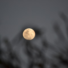 Ranas y Grillos - 5 minutos para meditar