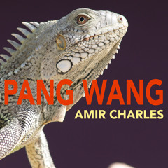 Pang Wang (Original Mix)