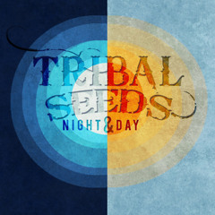Tribal Seeds - Night & Day Live At Virginia Beach