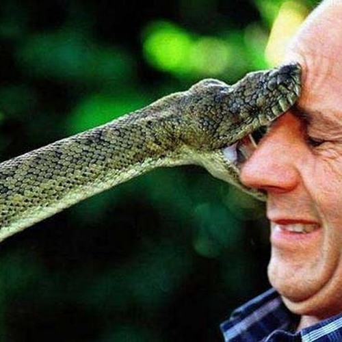 snake rap ft. julio