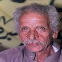 أحمد فؤاد نجم - زيارة لضريح عبد الناصر