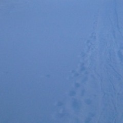 Winter: Section I