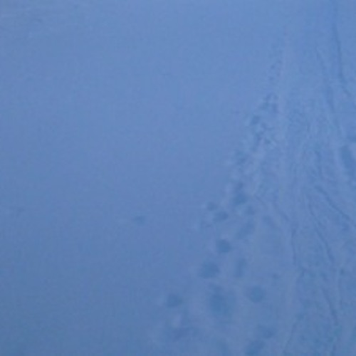 Winter: Section I