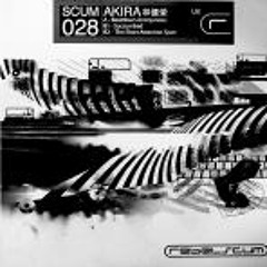 Akira - Beatdown Anonymous ( Profanity Represented Remix )