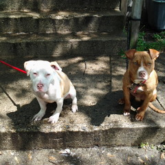 Chef D Feat. Clova D On Deck Un Mixed