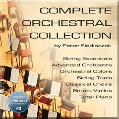 Klangbeispiel Complete Orchestral Collection
