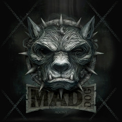 DJ Mad Dog feat. MC Jeff - Agony #TiH
