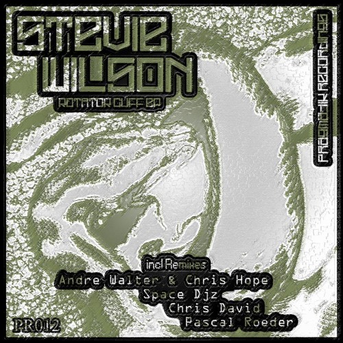 Stevie Wilson_ Torn (Pascal Roeder remix) [PR012]