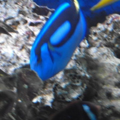 If u need me (Original Mix)