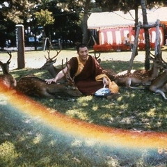 Brahmavihara Meditation