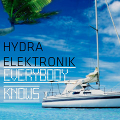 Hydra Elektronik - Everybody Knows
