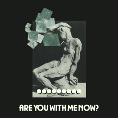Are You With Me Now? - Cate Le Bon