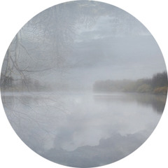 Domokol x Sergey Kiselev - Autumn Collapse