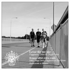 Diño, Diggi Dave, Figginess & Don Hoan - Reppar alltid södra remix