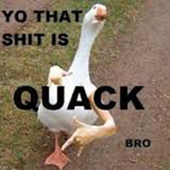 Wobble-TeK - Duck Skank (free at 200 followers)